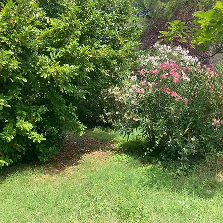 Vakantiehuis Botanica