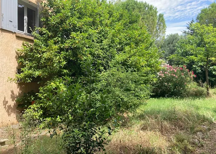 Botanica Tatil Evi *