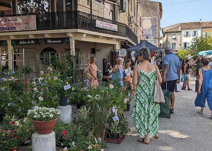 Botanica Tatil Evi *